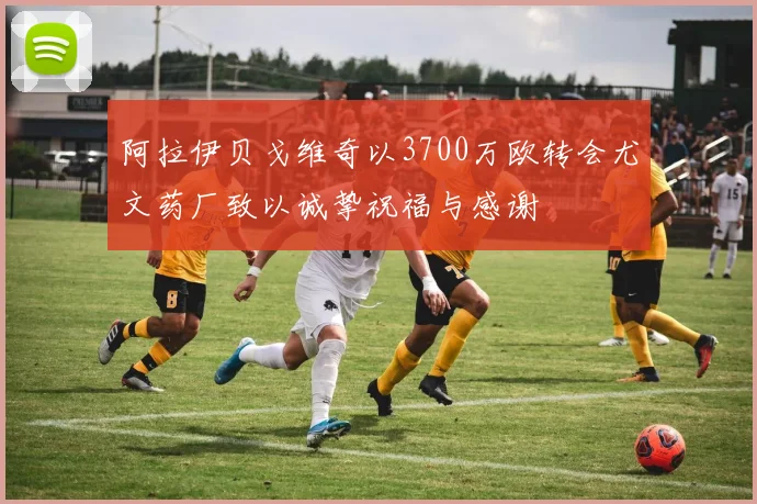 阿拉伊贝戈维奇以3700万欧转会尤文药厂致以诚挚祝福与感谢